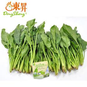 东升农场有机菠菜 300g 每天新鲜供港蔬菜